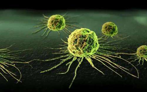 肿瘤细胞生物学技能培训